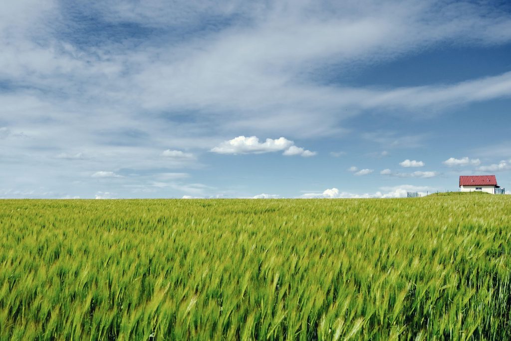 nature ciel leu respiré le calme et la quietude